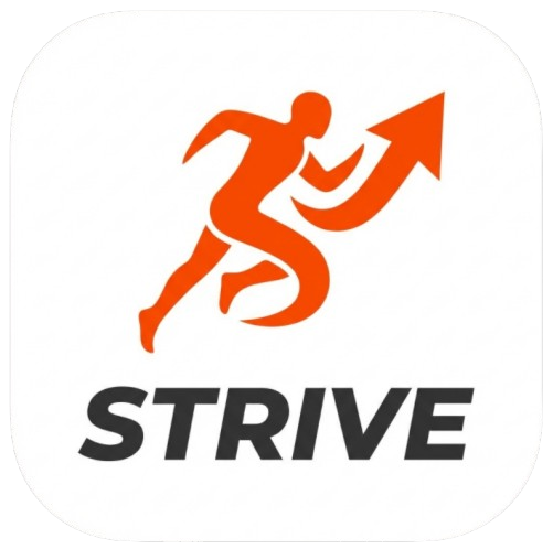 Logo du projet Strive